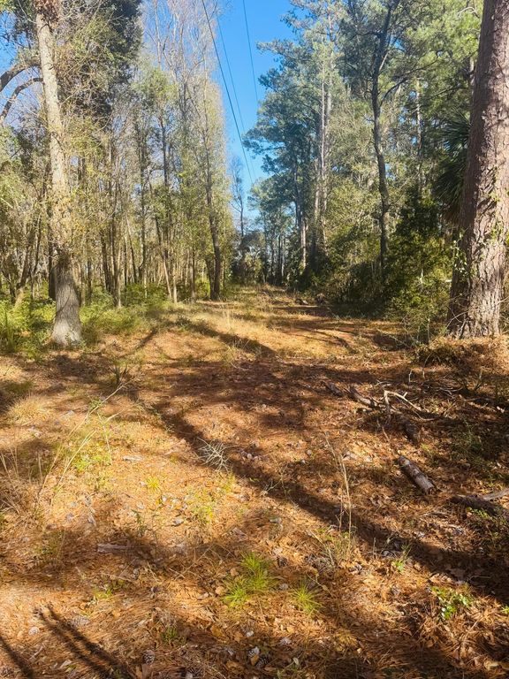 Image 11 of property listing at 0 Rosa Scott Road, Edisto Island, SC 29438