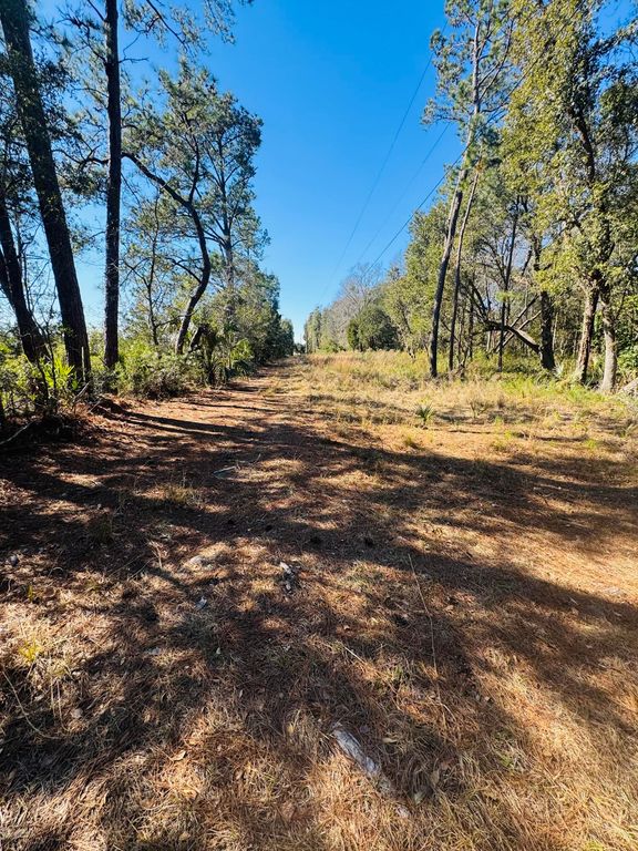 Image 13 of property listing at 0 Rosa Scott Road, Edisto Island, SC 29438