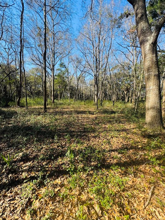 Image 14 of property listing at 0 Rosa Scott Road, Edisto Island, SC 29438