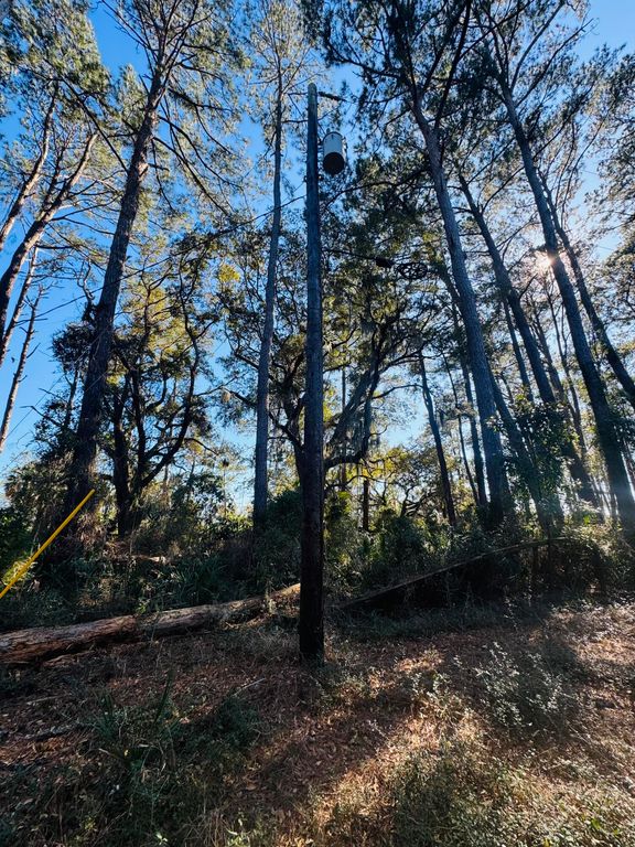 Image 15 of property listing at 0 Rosa Scott Road, Edisto Island, SC 29438