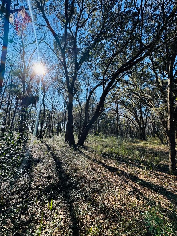 Image 5 of property listing at 0 Rosa Scott Road, Edisto Island, SC 29438