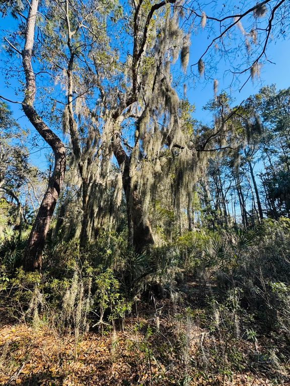 Image 6 of property listing at 0 Rosa Scott Road, Edisto Island, SC 29438