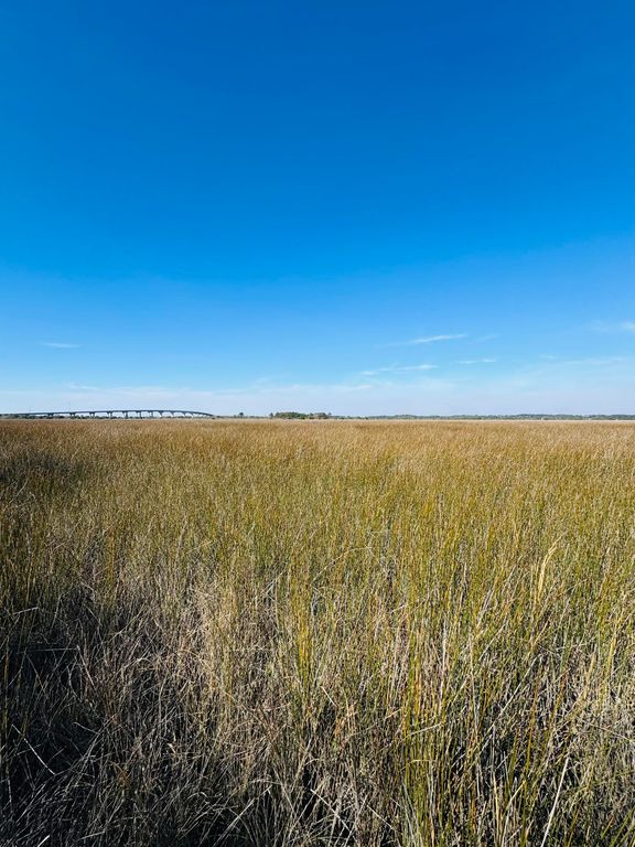 Image 8 of property listing at 0 Rosa Scott Road, Edisto Island, SC 29438