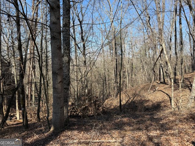 62 Miners Place, Dahlonega, GA 30533