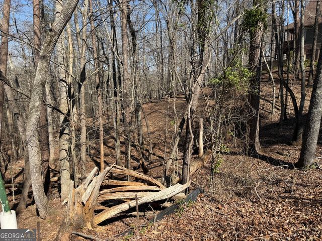 62 Miners Place, Dahlonega, GA 30533