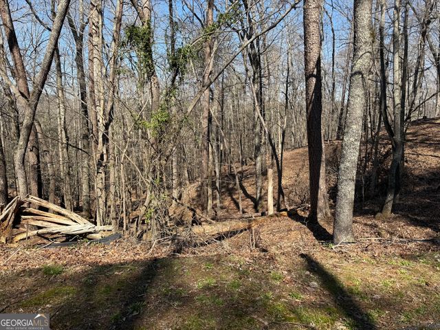 62 Miners Place, Dahlonega, GA 30533