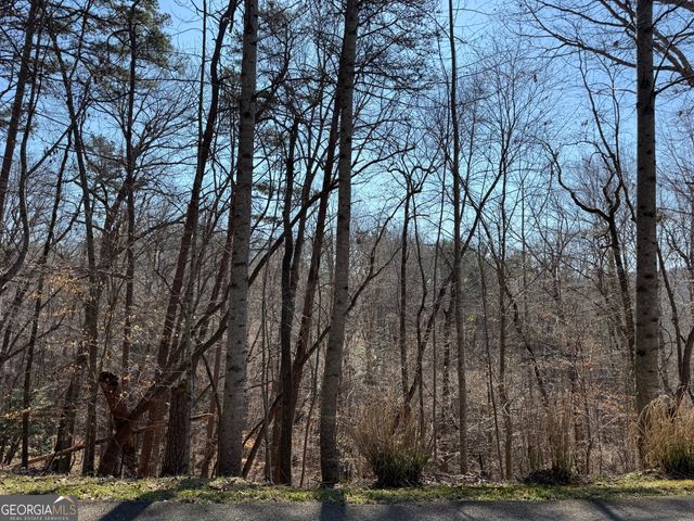 62 Miners Place, Dahlonega, GA 30533