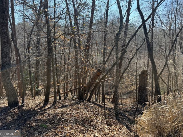 62 Miners Place, Dahlonega, GA 30533