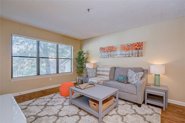 11901 4TH STREET N 4206, St Petersburg, FL 33716