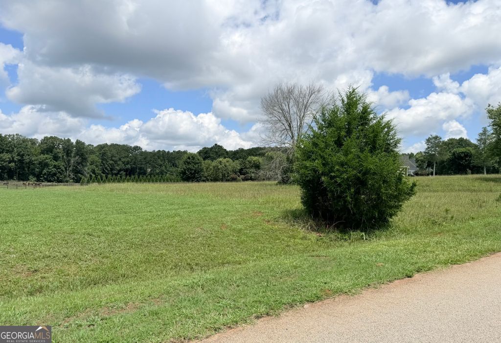 15 Meadow View Court, Social Circle, GA 30025