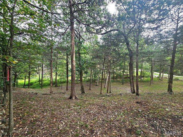 1051 S Lakeview Drive, De Soto, MO 63020