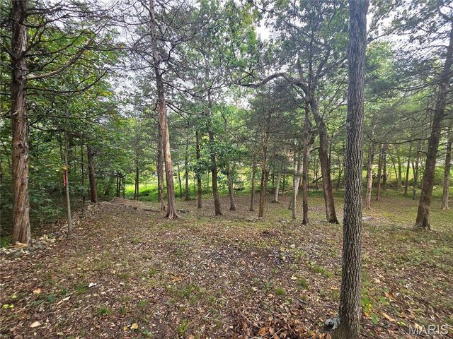 1051 S Lakeview Drive, De Soto, MO 63020