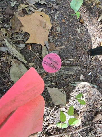 1051 S Lakeview Drive, De Soto, MO 63020