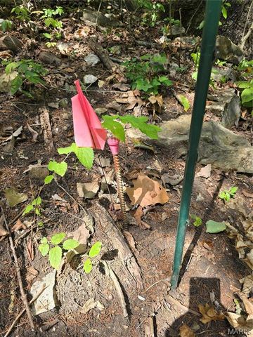 1051 S Lakeview Drive, De Soto, MO 63020