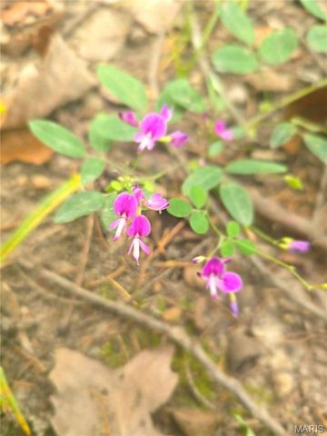 1051 S Lakeview Drive, De Soto, MO 63020