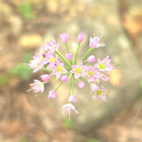 1051 S Lakeview Drive, De Soto, MO 63020