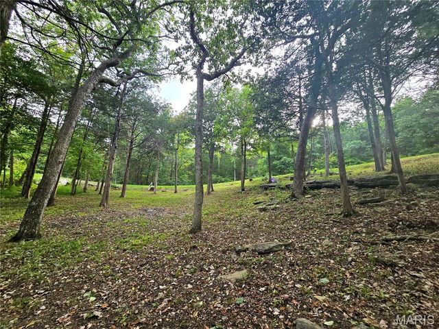 1051 S Lakeview Drive, De Soto, MO 63020