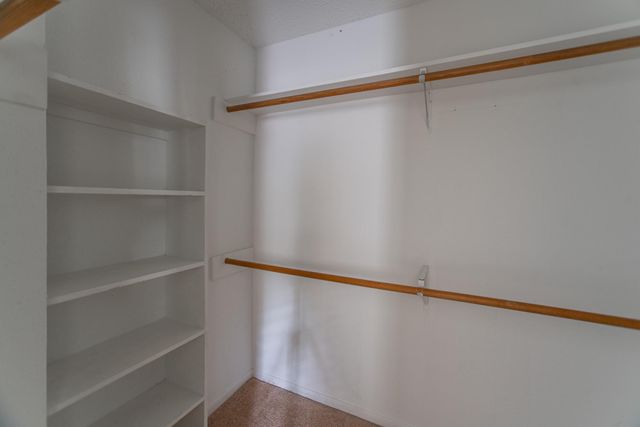 51 Fire Flicker Place, The Woodlands, TX 77381