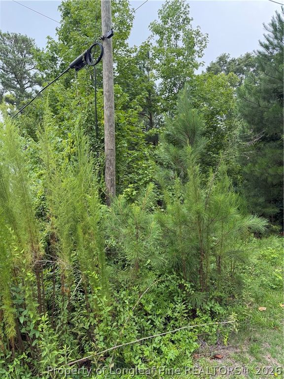 2105 Sapona Road, Fayetteville, NC 28312 — photo 2