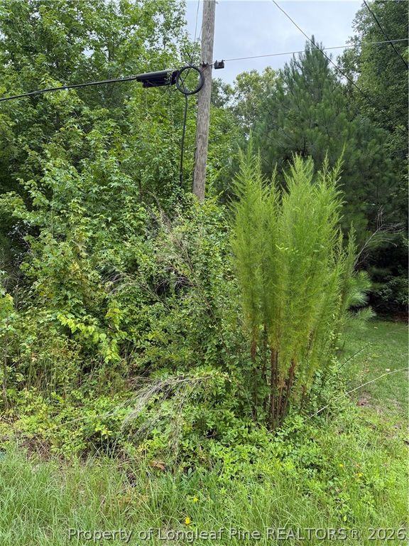 2105 Sapona Road, Fayetteville, NC 28312 — photo 4