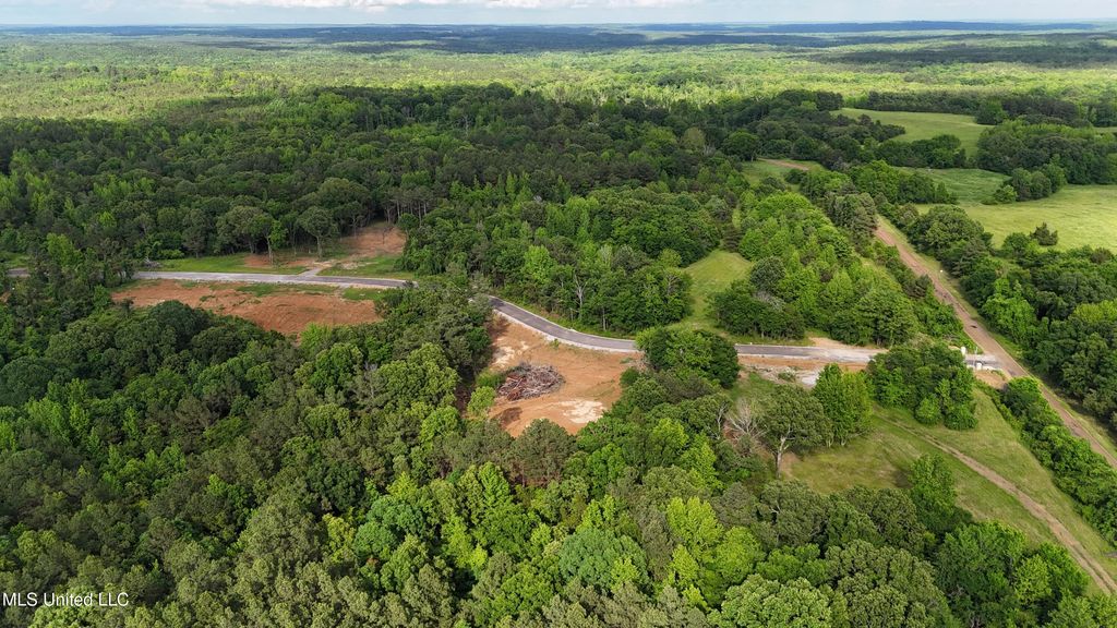 3 Tyro Branch Cove, Senatobia, MS 38668 — photo 2