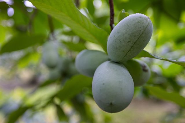 244 Lincoln Rd, Lincoln, MA 01773