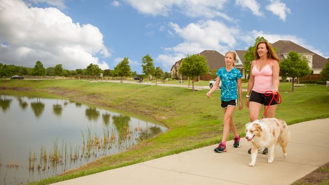 1744 Grenache Drive, Mclendon Chisholm, TX 75032