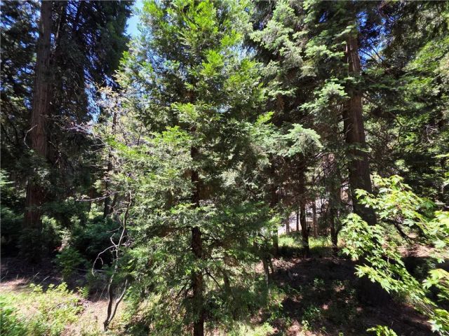 606 Crest Estates Drive, Lake Arrowhead, CA 92352