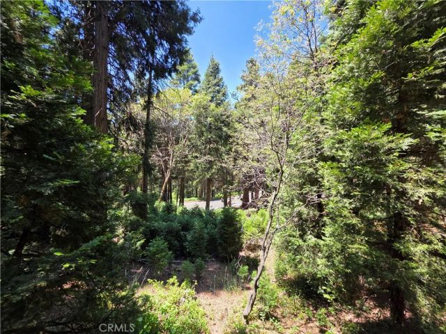 606 Crest Estates Drive, Lake Arrowhead, CA 92352