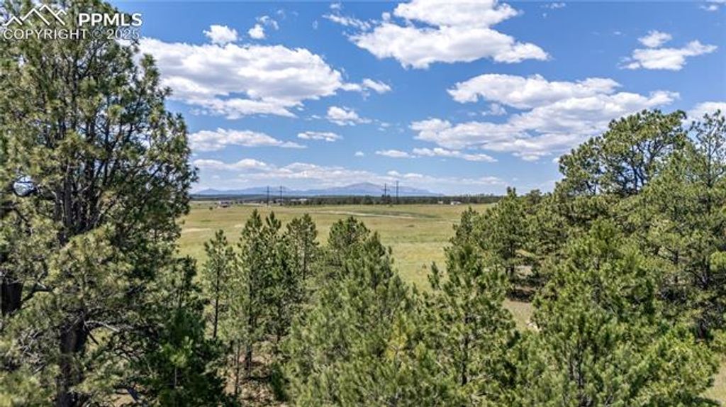 10334 Alamar Way, Colorado Springs, CO 80908 — photo 3