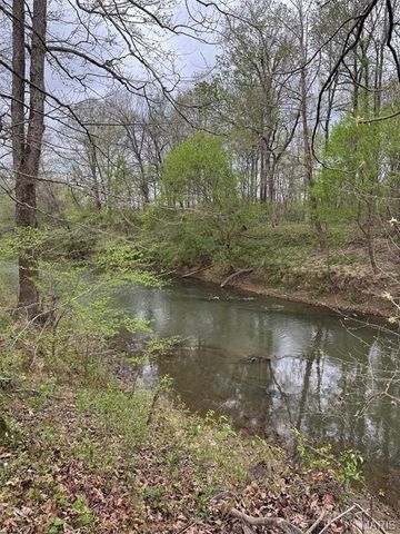 1480 CR 476, Poplar Bluff, MO 63901