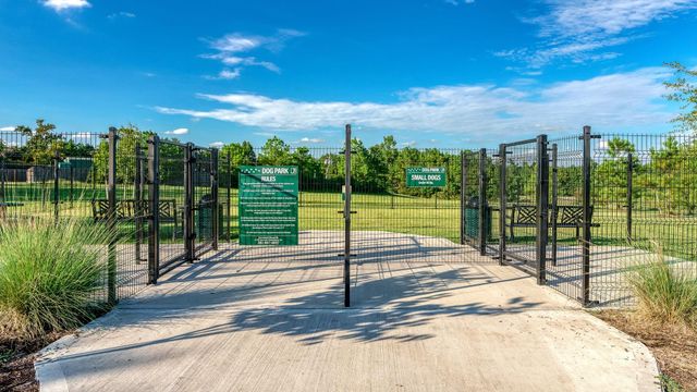 307 Arbor Ridge Lane, Conroe, TX 77384