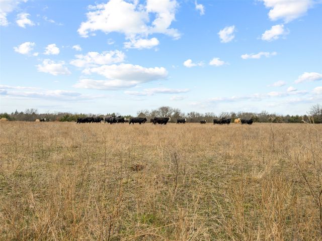Tract 3 County Road 1255, Savoy, TX 75479