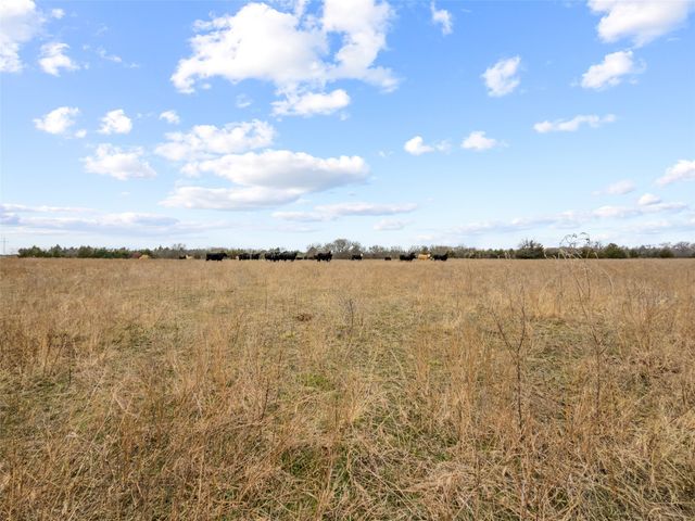 Tract 3 County Road 1255, Savoy, TX 75479