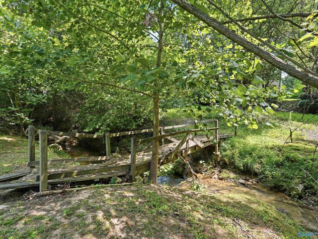 1013 Mill Race Circle, Guntersville, AL 35976