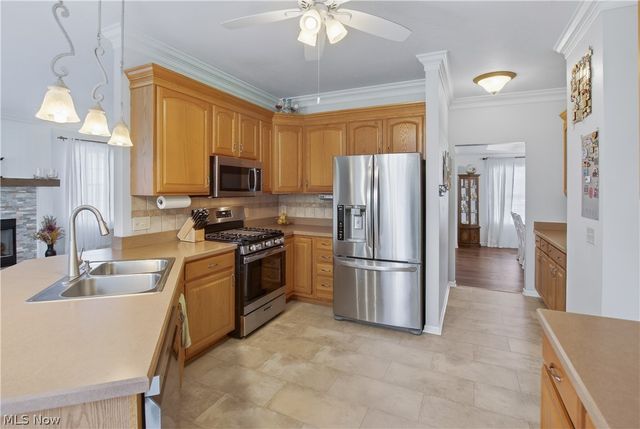 5840 Trystin Tree Drive, Medina, OH 44256