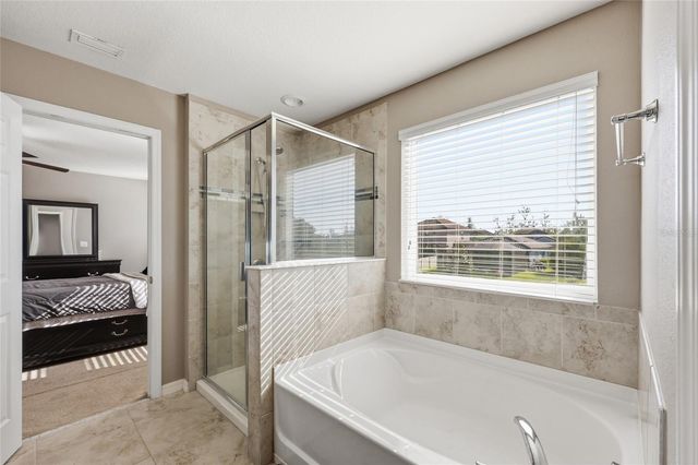 19416 ROSEATE DRIVE, Lutz, FL 33558