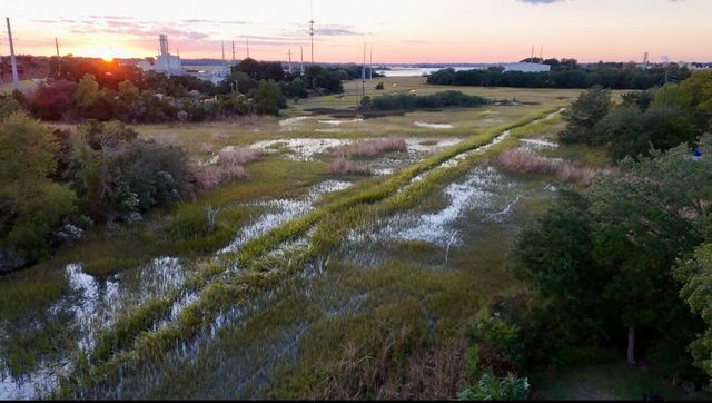 2311 Peonie Avenue, Charleston, SC 29405