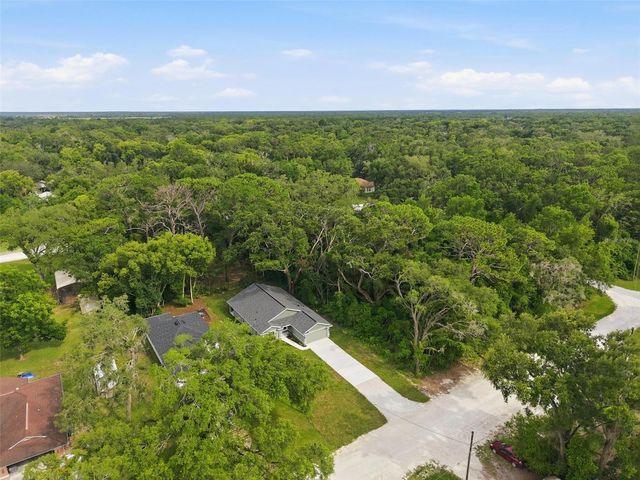 352 GARFIELD, Masaryktown, FL 34604