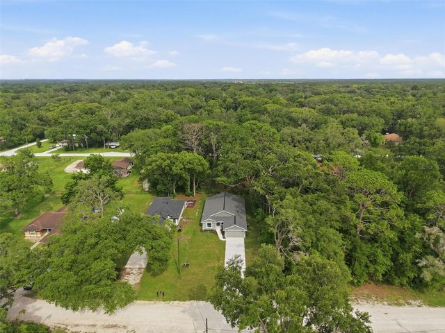 352 GARFIELD, Masaryktown, FL 34604