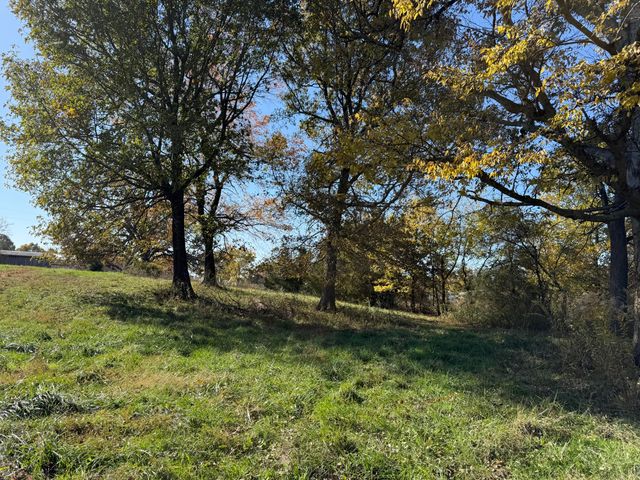 1981 Robinson Road, Clever, MO 65631