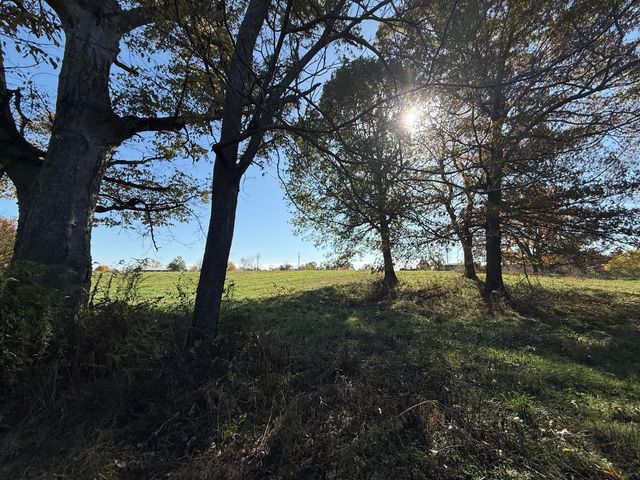 1981 Robinson Road, Clever, MO 65631