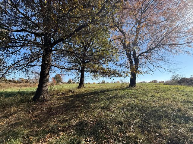 1981 Robinson Road, Clever, MO 65631