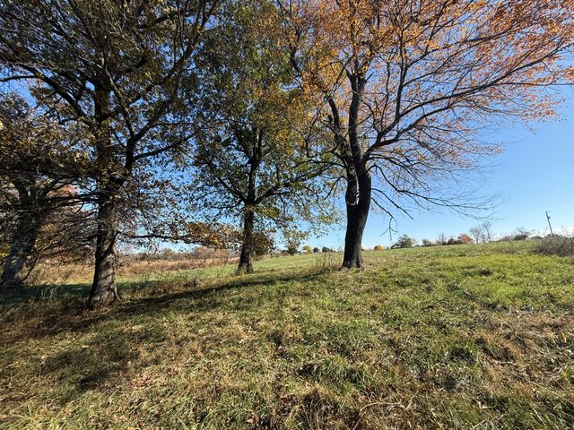 1981 Robinson Road, Clever, MO 65631