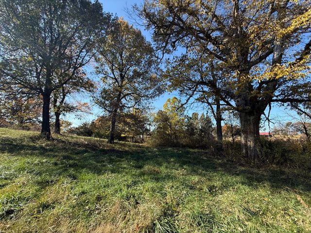 1981 Robinson Road, Clever, MO 65631