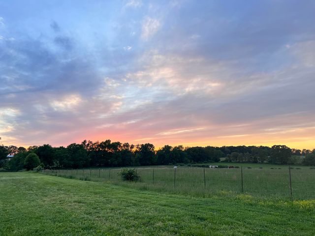 1981 Robinson Road, Clever, MO 65631