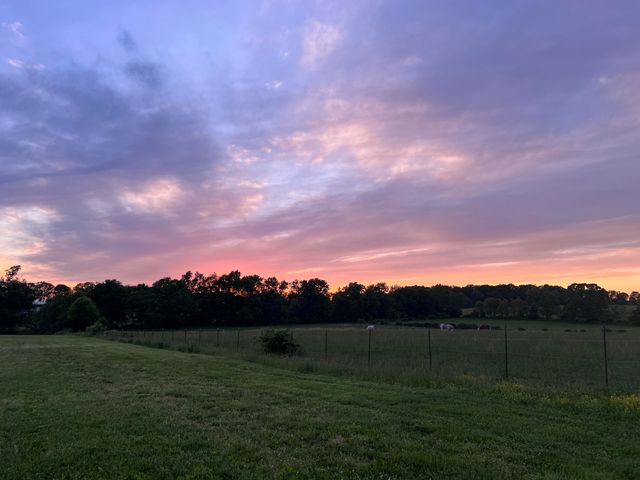 1981 Robinson Road, Clever, MO 65631