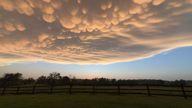 1981 Robinson Road, Clever, MO 65631