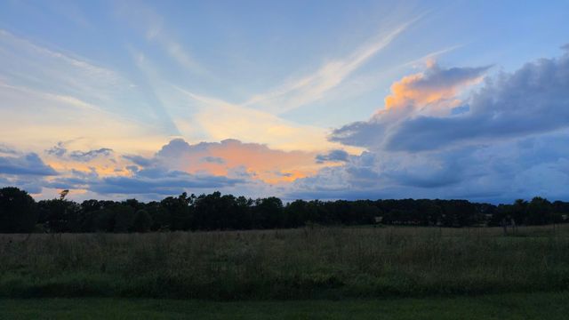 1981 Robinson Road, Clever, MO 65631