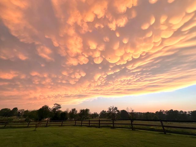 1981 Robinson Road, Clever, MO 65631